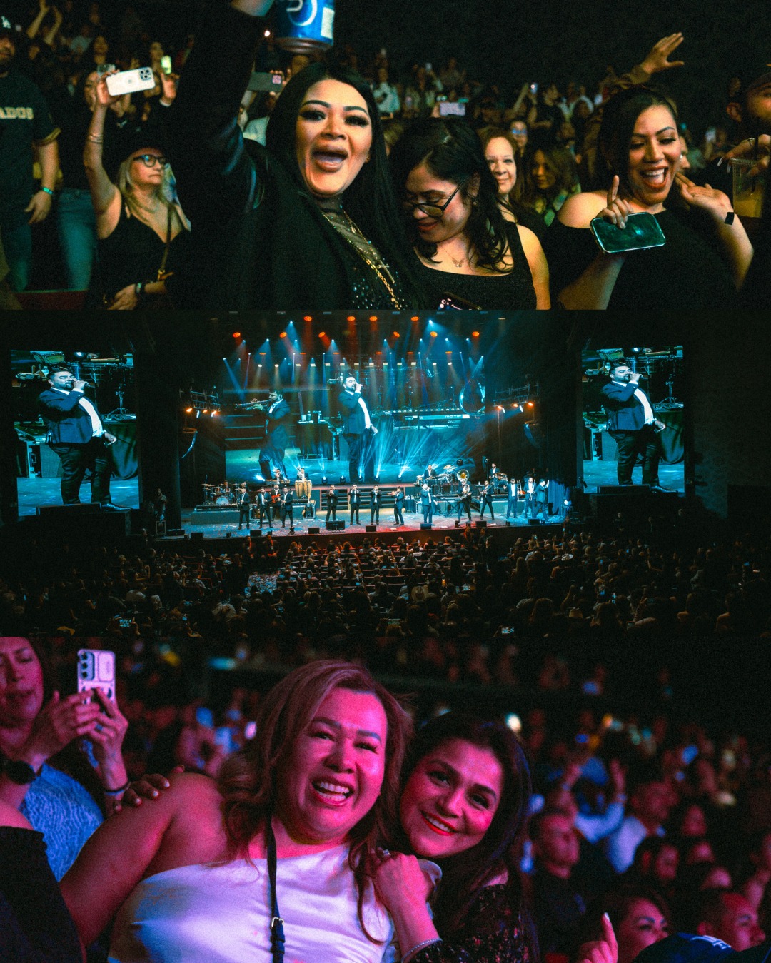 Banda MS